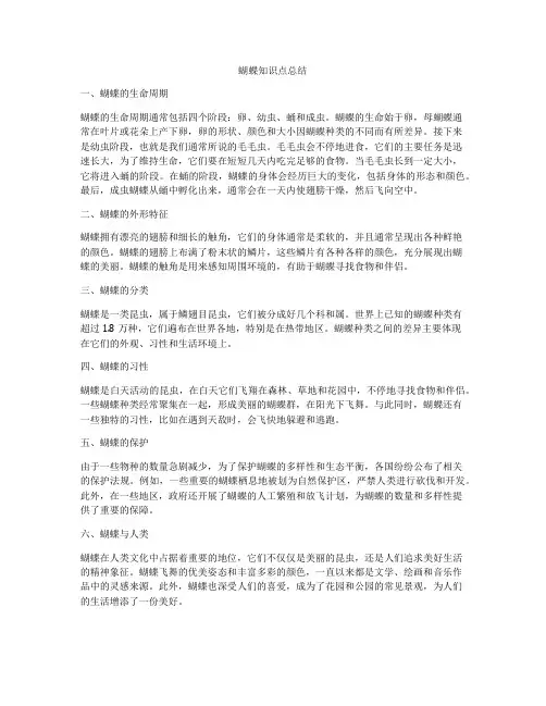蝴蝶知识点总结