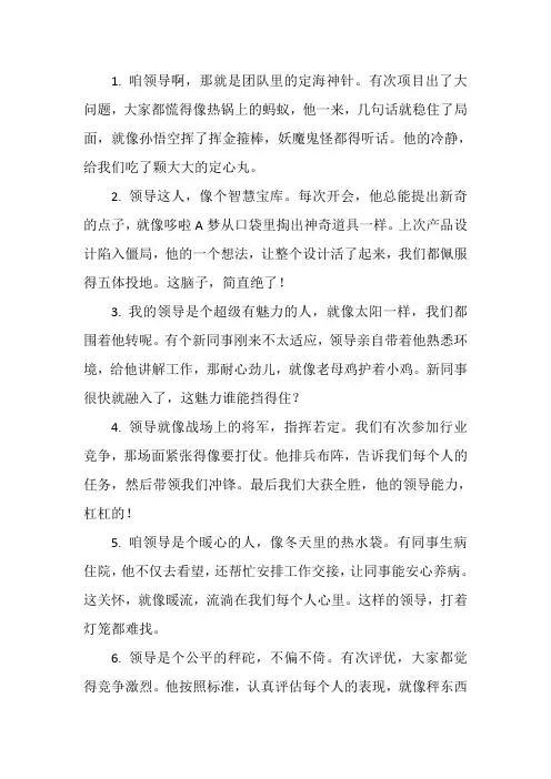 对领导的个人评价