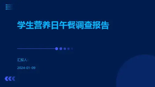 学生营养日午餐调查报告