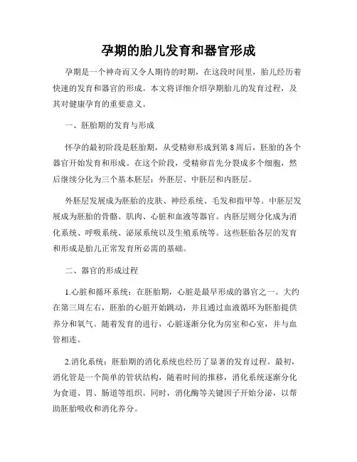 孕期的胎儿发育和器官形成