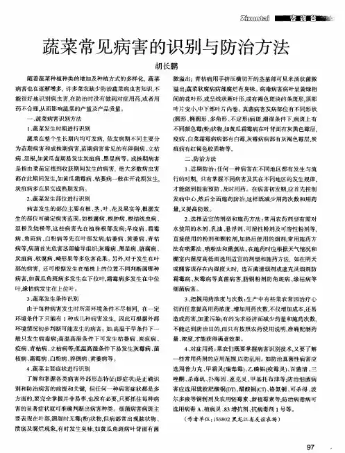 蔬菜常见病害的识别与防治方法