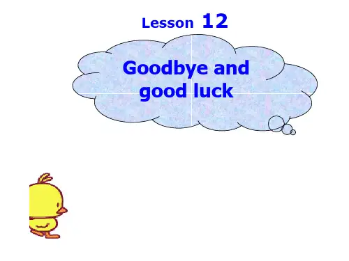 (完整版)新概念英语第二册Lesson12课(25张PPT)