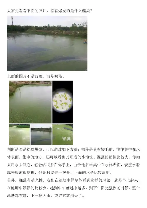 如何区分蓝藻水与裸藻水？