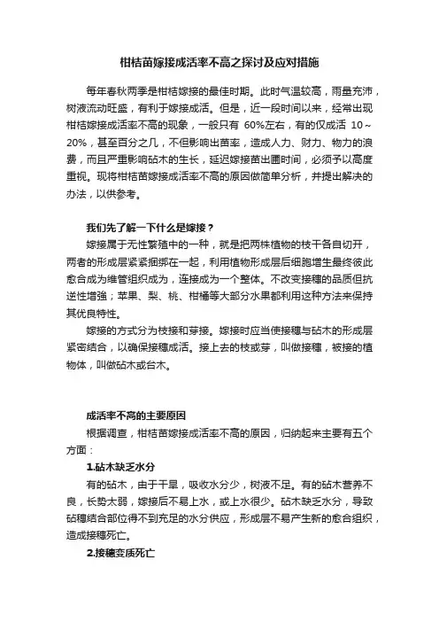 柑桔苗嫁接成活率不高之探讨及应对措施