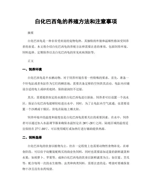 白化巴西龟的养殖方法和注意事项