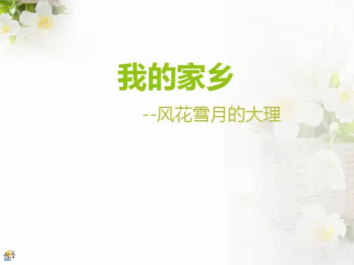 我的家乡—大理