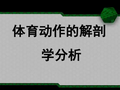 13体育动作的解剖学分析