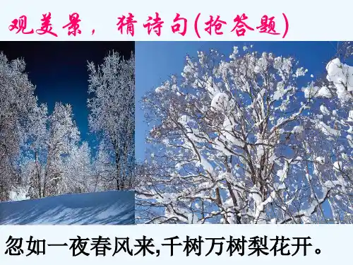 语文人教版七年级上册古诗词鉴赏之画面描写