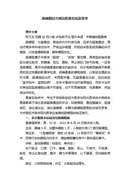 肠梗阻经方辨治医案总结及思考
