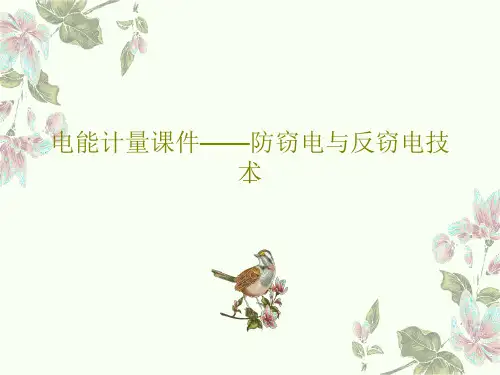 电能计量课件——防窃电与反窃电技术共101页