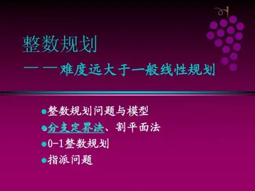 4-1整数规划1-概念、分支定界法