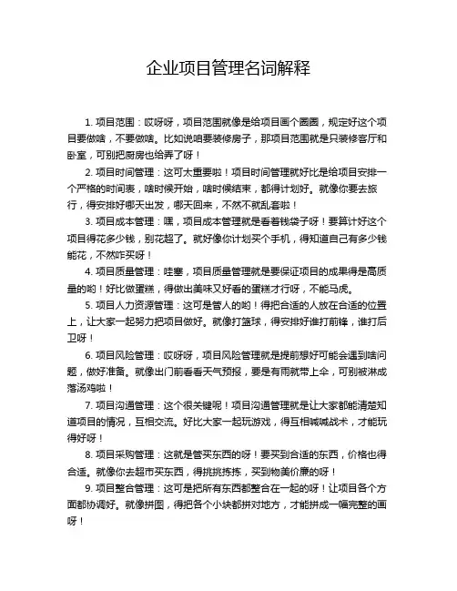 企业项目管理名词解释