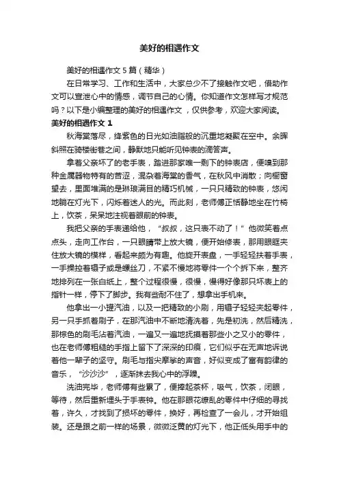 美好的相遇作文5篇（精华）