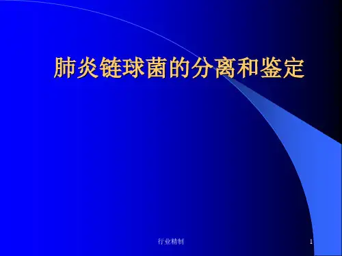 肺炎链球菌的分离和鉴定[专家知识]