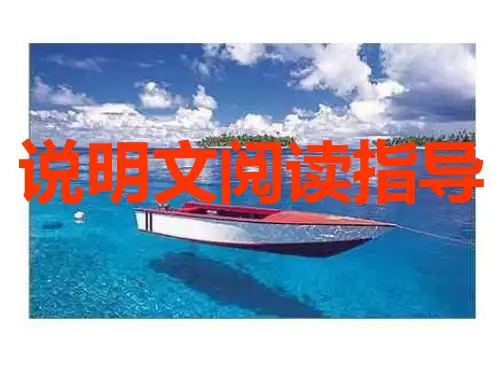 说明文阅读精品指导