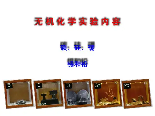 无机化学实验内容碳、硅、硼,锡和铅