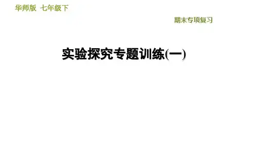 华师大版科学七年级下册实验探究专题训练(一)