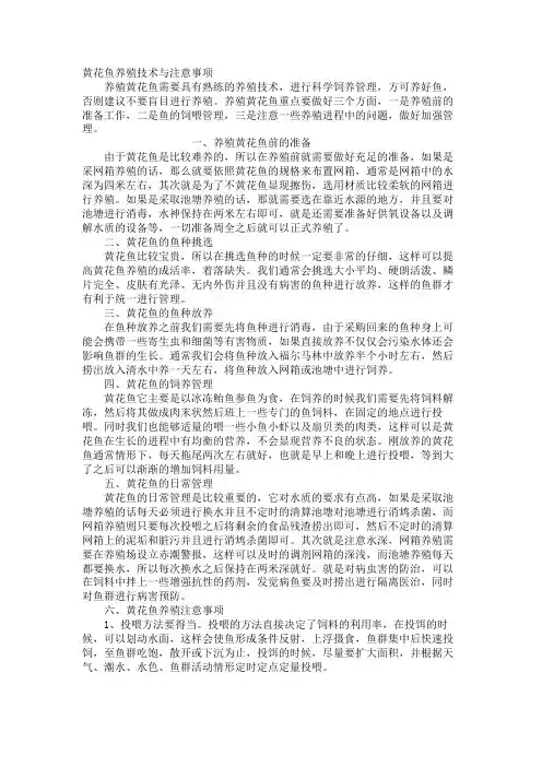 黄花鱼养殖技术与注意事项