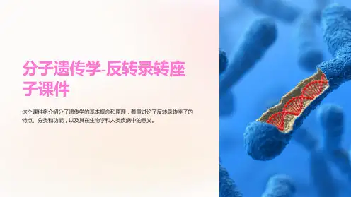 分子遗传学-反转录转座子课件