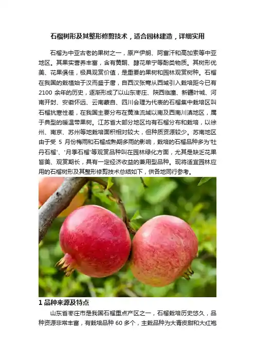 石榴树形及其整形修剪技术，适合园林建造，详细实用