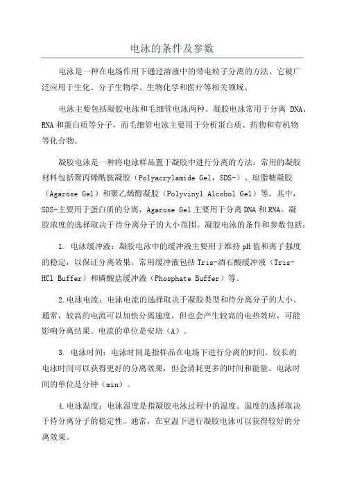 电泳的条件及参数