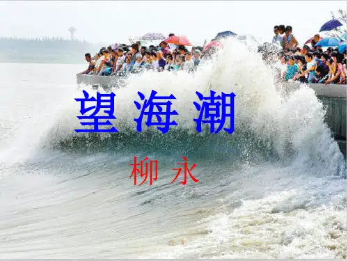 《望海潮》PPT课件