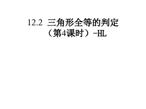 三角形全等的判定HL