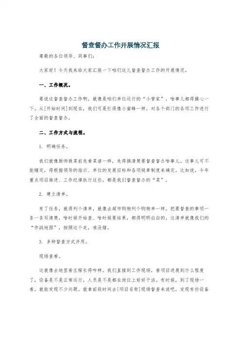 督查督办工作开展情况汇报