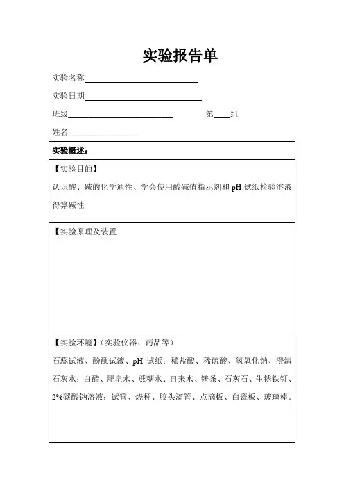 化学实验报告单(探究酸和碱的化学性质)