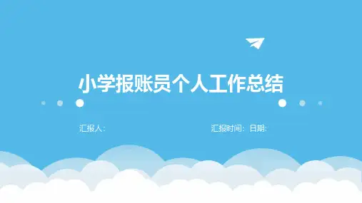 小学报账员个人工作总结