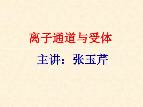 离子通道与受体主讲