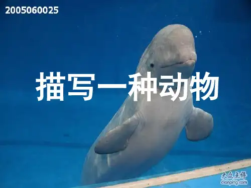小学生描写动物作文指导课件 PPT课件(共18张)