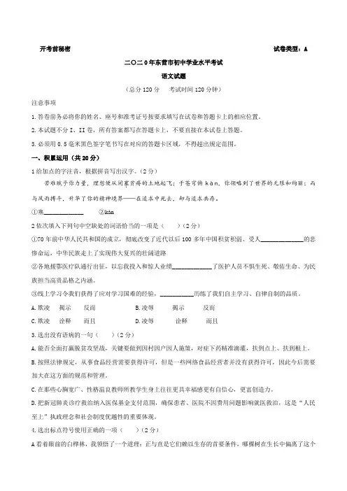 山东省东营市2020年中考语文试题