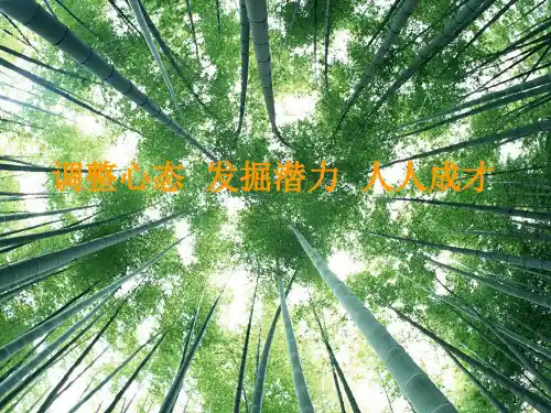 调整心态发掘潜力人人成才ppt课件