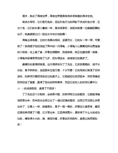 探索海洋世界的感悟作文
