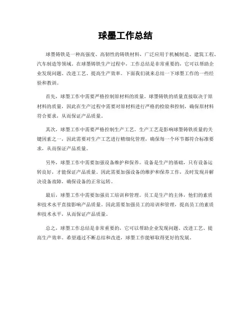 球墨工作总结