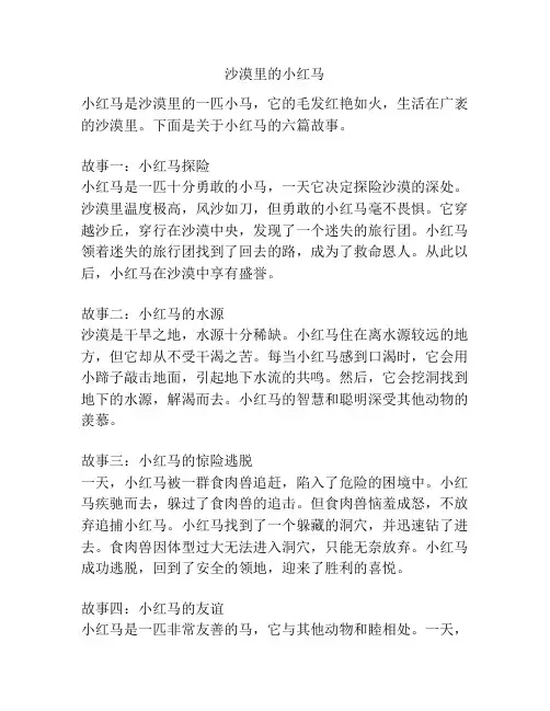 沙漠里的小红马