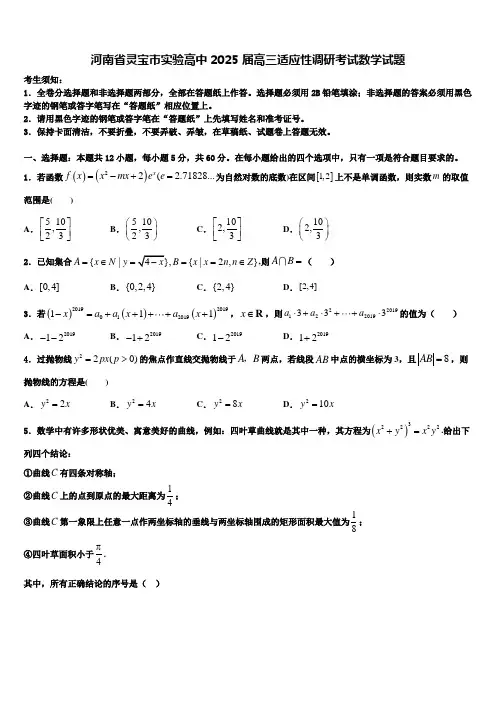 河南省灵宝市实验高中2025届高三适应性调研考试数学试题含解析