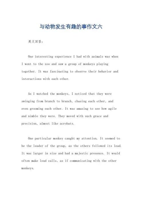 与动物发生有趣的事作文六