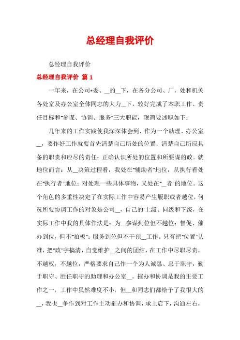 总经理自我评价