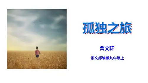 《孤独之旅》语文教学PPT课件(5篇)