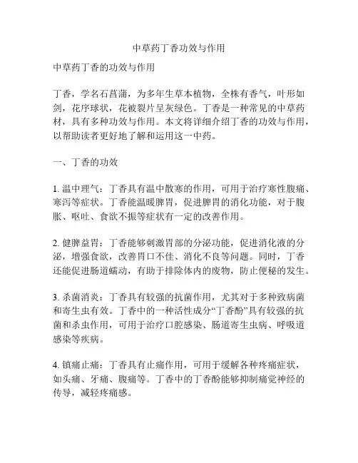 中草药丁香功效与作用