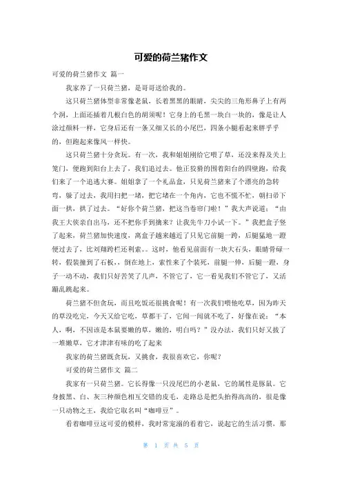 可爱的荷兰猪作文