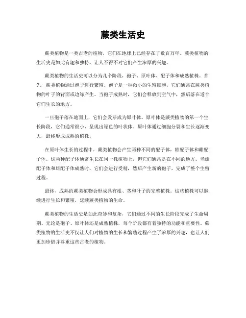 蕨类生活史