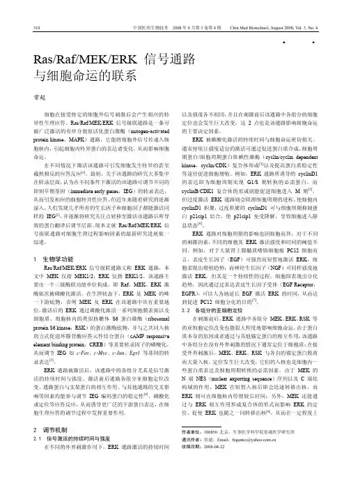 Ras_Raf_MEK_ERK信号通路与细胞命运的联系