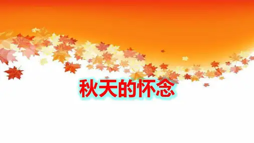 第5课《秋天的怀念》课件(共24张PPT)统编版语文七年级上册