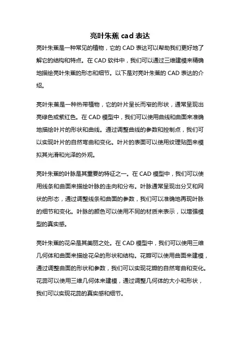 亮叶朱蕉cad表达