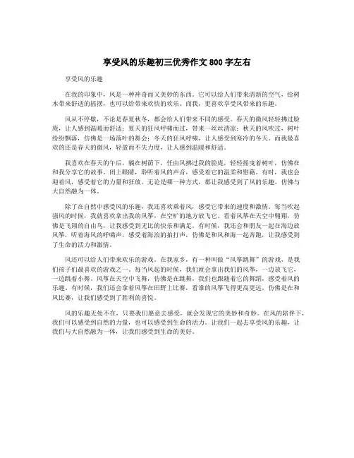 享受风的乐趣初三优秀作文800字左右