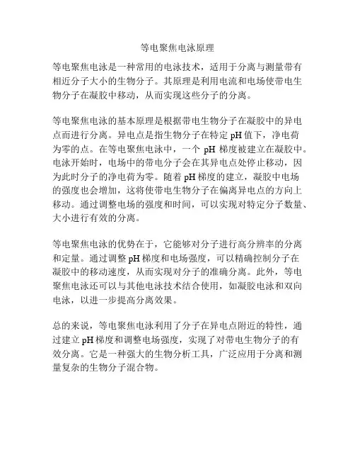 等电聚焦电泳原理