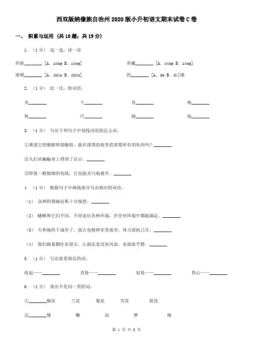 西双版纳傣族自治州2020版小升初语文期末试卷C卷(新版)